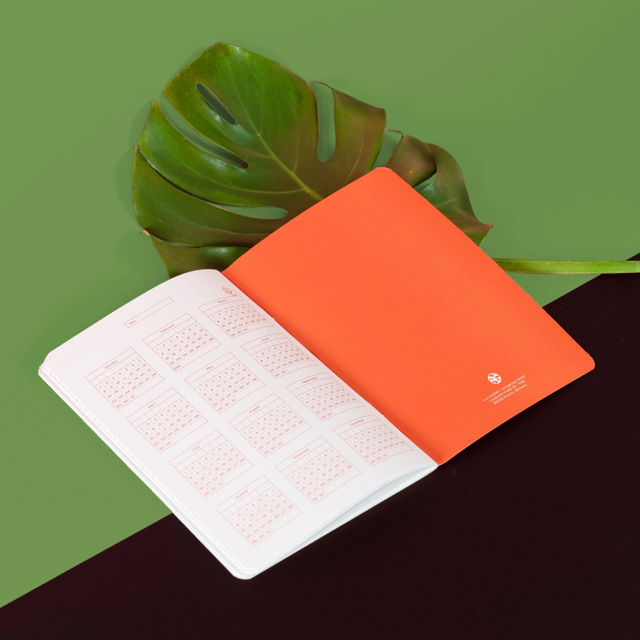 Ant Explorer Notebook - Image 4