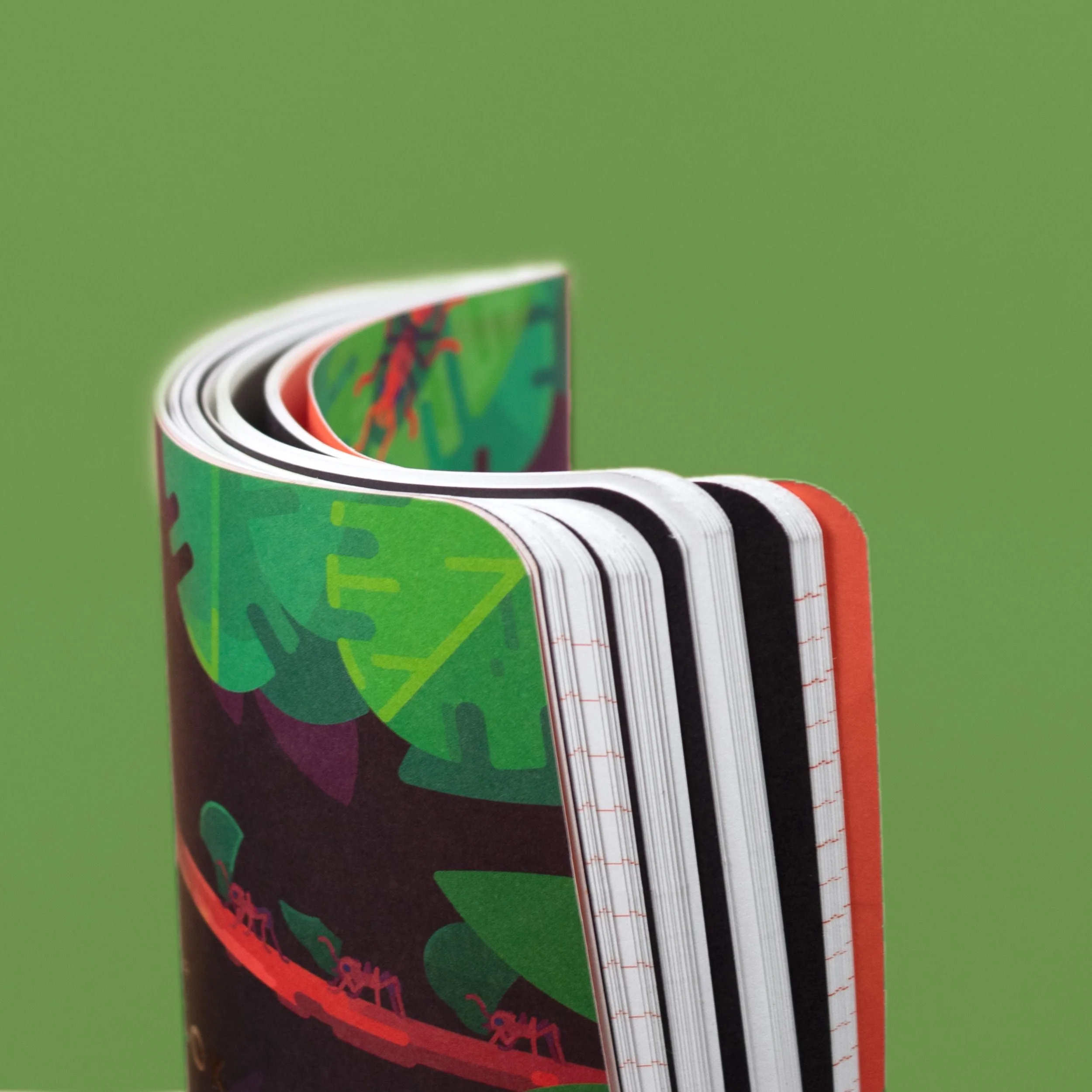 Ant Explorer Notebook - Image 5