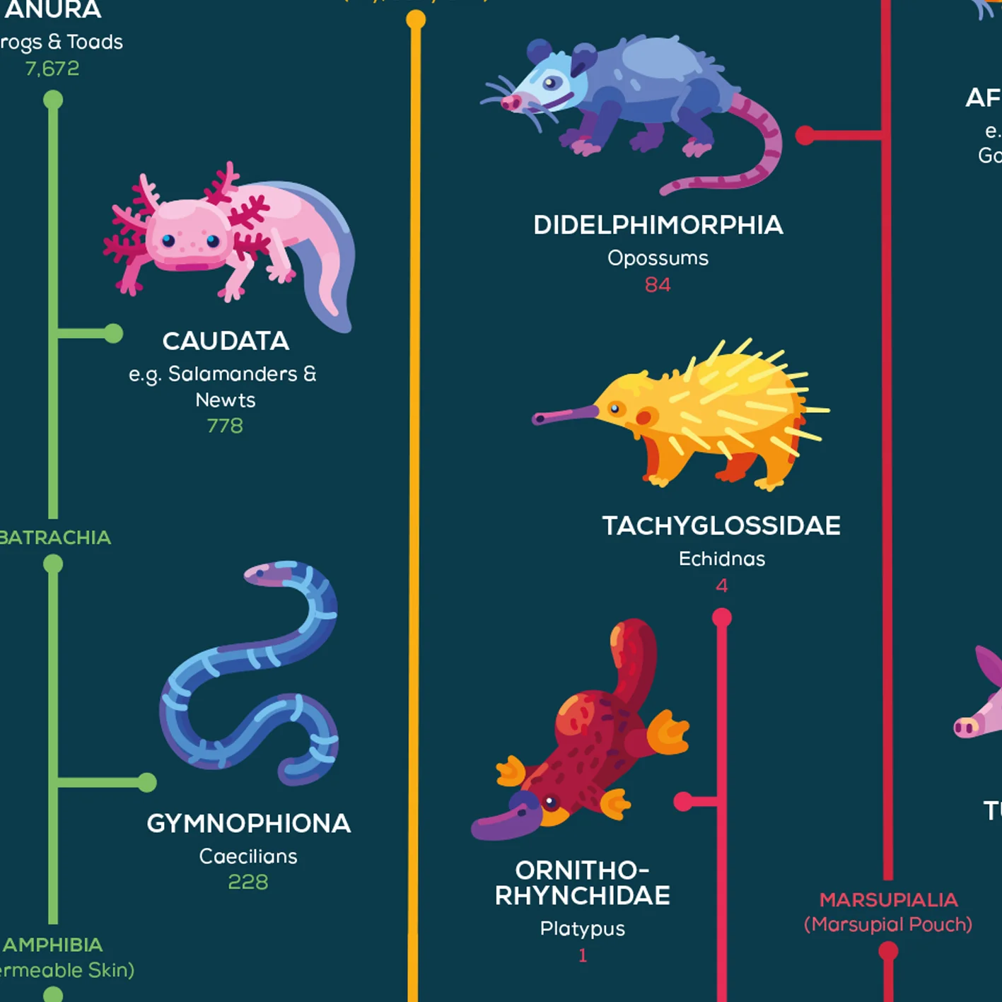 Map of Evolution Poster - Image 4