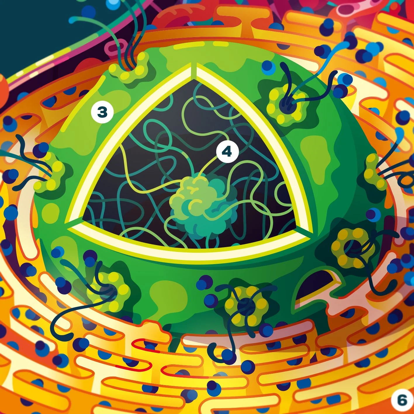 Human Cell Poster - Image 3