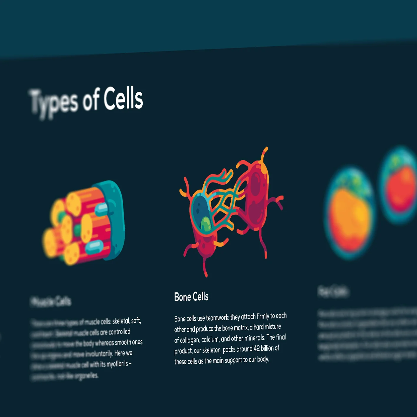 Human Cell Poster - Image 5