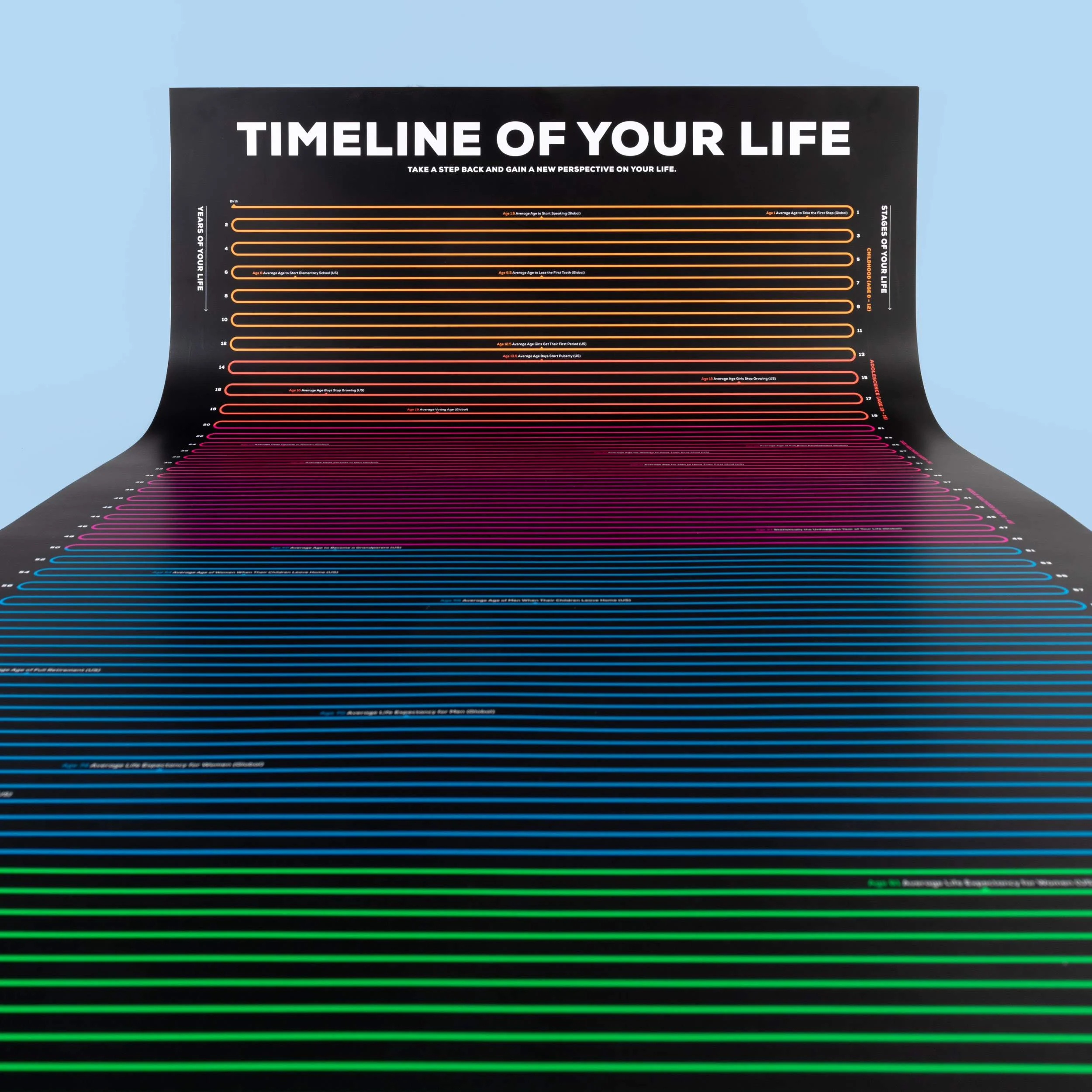 Timeline of Your Life Infographic Poster - Image 3