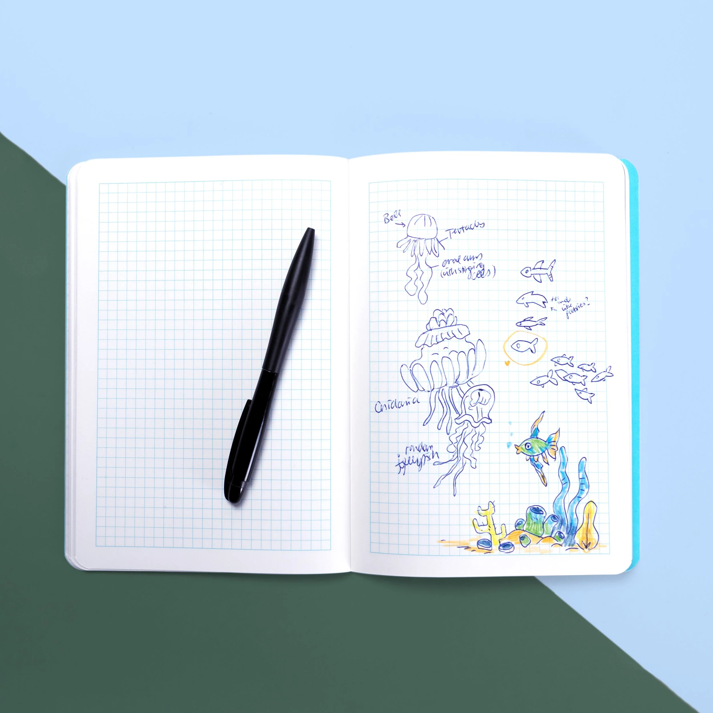 Ocean Explorer Notebook - Image 6